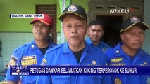 Petugas Damkar Berhasil Selamatkan Kucing yang Terperosok ke Sumur Sedalam 20 Meter!