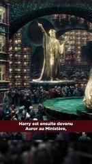 La vie d'HARRY POTTER après LA GUERRE ?