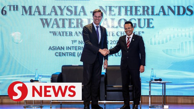 Flood mitigation: Green infrastructure and nature-based solutions more resilient, says Dutch PM