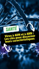 Virus à ADN et à ARN : Les clés pour discerner leurs caractéristiques