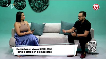 Mitos y realidades de castración de mascotas