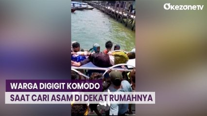 Warga Digigit Komodo saat Cari Asam di Dekat Rumahnya, Begini Kondisinya