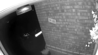 CCTV of car stolen in Lindisfarne Way, Grantham.