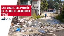 San Miguel del Padrón en estado de abandono total