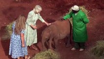 Königin Camilla füttert Baby-Elefanten