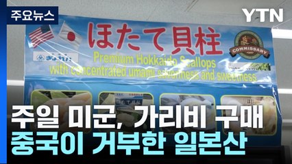 주일미군, 中 금수 日가리비 구매 시작...신경전 속 숨통 트이나 / YTN