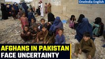 Afghans in Pakistan face uncertainty amid deportation plan | DW |  Oneindia News