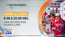 La Cruz Roja mantiene la canalización de donaciones para los damnificados de Guerrero