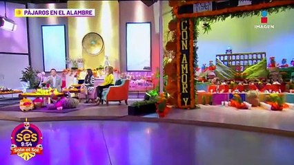 Matute y Molotov se REUNIRÁN para ayudar a damnificados por el huracán Otis