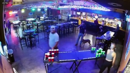 TOTAL IDIOTS AT WORK!