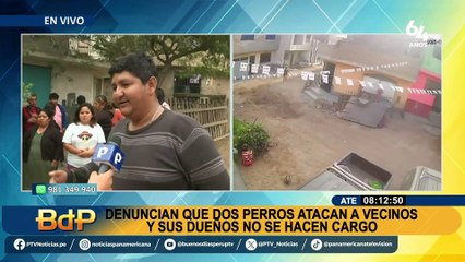 Vecinos denuncian constantes ataques de dos perros en Ate