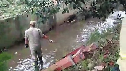 Bombeiros resgatam cachorro em córrego no Cajuru