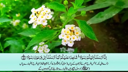 Surah Muzammil ( Al Muzammil ) with Urdu translation _ Tilawat _ Quran with Urdu Hindi Translation(720P_HD)