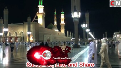 Madina Sharif Heart Touch Gorgeous