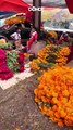 Flores de Cempasúchil en el Mercado de Jamaica-Dónde_Ir