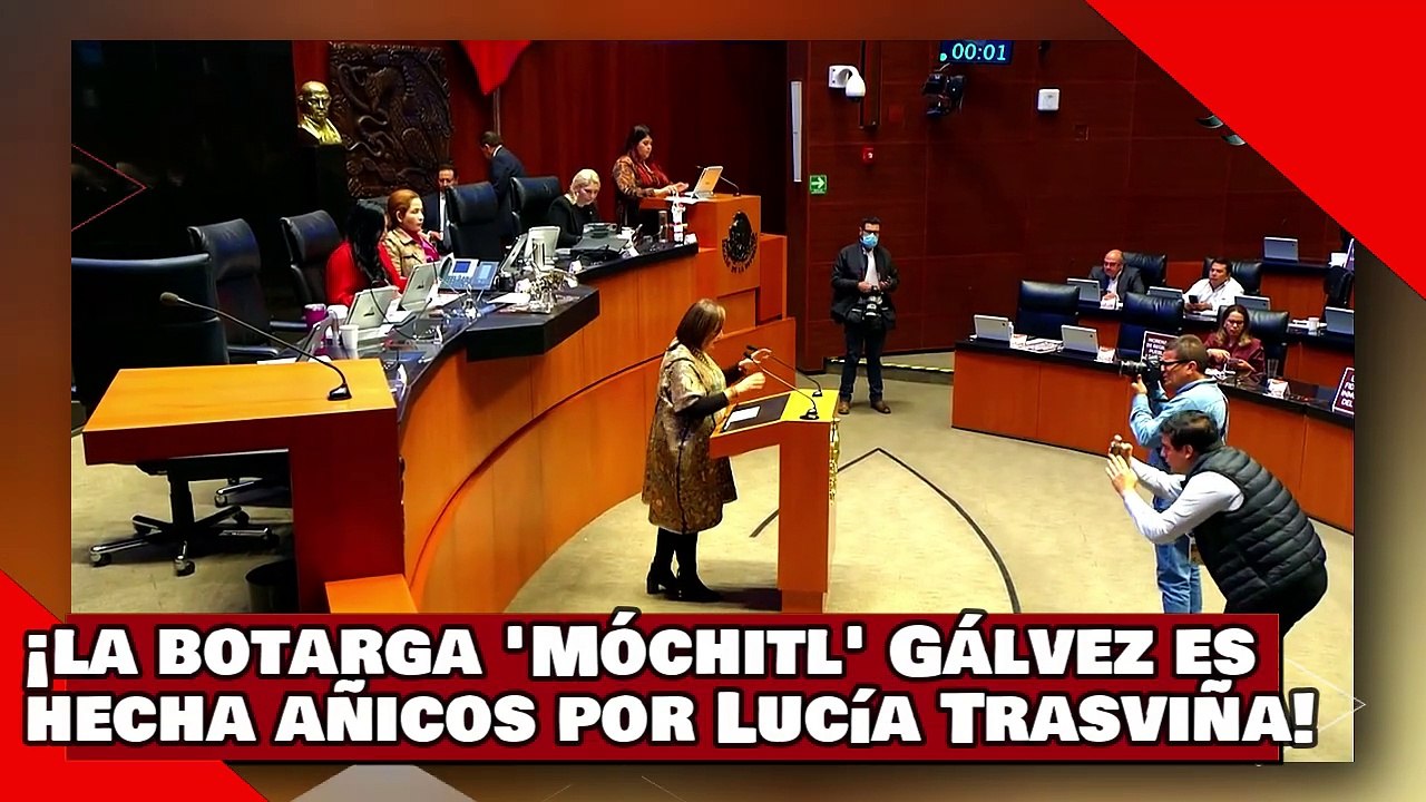 ¡VEAN! ¡Regresa lo que te robaste! ¡la botarga Móchitl Gálvez es hecha añicos por Lucía Trasviña!