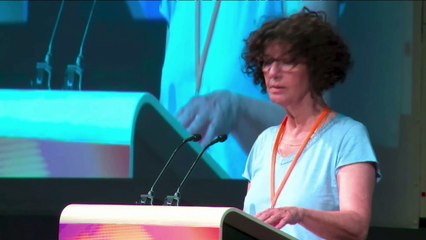 3 - Rapport d'activité : Interventions (1-4)