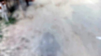 Project_11-01_Full HD 1080p_HIGH_FR30