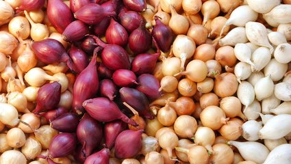 What Is the Difference Between an Onion and a Shallot, And Can You Substitute Them?