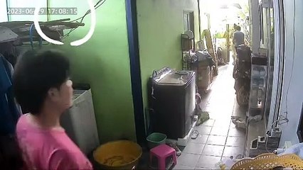 Un chat échappe au lézard moniteur