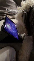POV Vous avez accidentellement transformé votre chien en enfant sur iPad