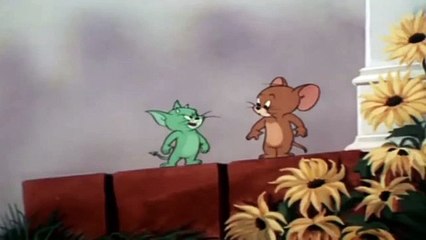 Tom and Jerry Episode 66   Smitten Kitten Part 2