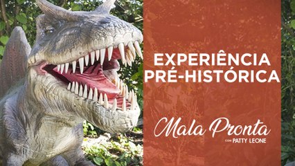 Télécharger la video: Patty Leone se aventura em um museu exclusivamente dedicado aos dinossauros | MALA PRONTA