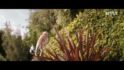 Family Switch Film - Mit Jennifer Garner und Ed Helms