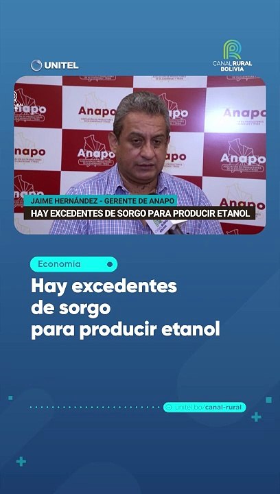 Hay excedentes de sorgo para producir etanol