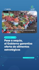 Pese a sequía, el Gobierno garantiza oferta de alimentos estratégicos