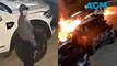 Police release CCTV footage in suspicious car yard fire investigation