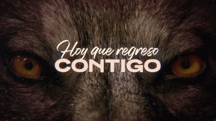 Los Temerarios - Hoy Que Regreso Contigo (LETRA)