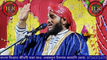 Maulana Obaidul Islam Jamali। মানুষ সৃষ্টির ঘটনা। হযরত আদম (আ:) এর জন্মের ঘটনা।