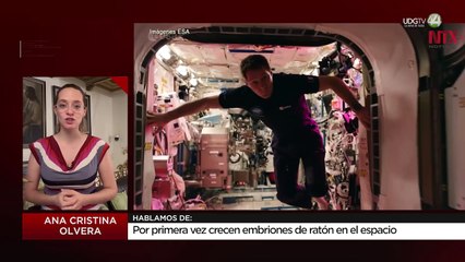 Por primera vez crecen embriones de ratón en el espacio: Ana Cristina Olvera
