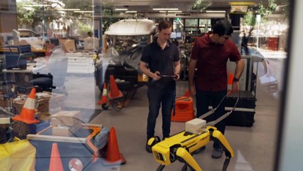 Student works to make robotic assistance animals reality