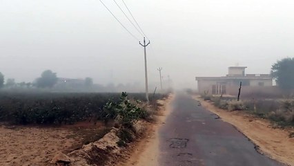 कोहरे की हल्की दस्तक, मौसम हुआ खुशनुमा