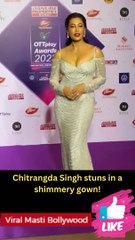 Chitrangda Singh stuns in a shimmery gown!