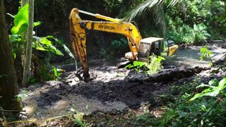 River Excavator Nyundai Reclamation