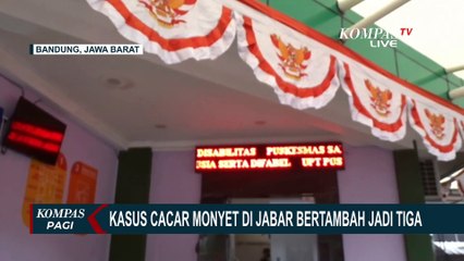 Kasus Cacar Monyet di Jawa Barat Bertambah, Berasal dari Bandung dan Karawang