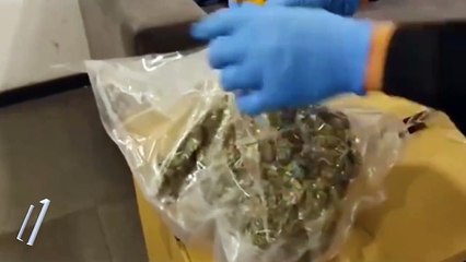 Yalova’da 10 milyon lira değerinde 80 kilo esrar ele geçirildi