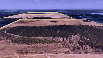 Fitzy's, Millmerran, Qld | November 2, 2023 | Farmonline