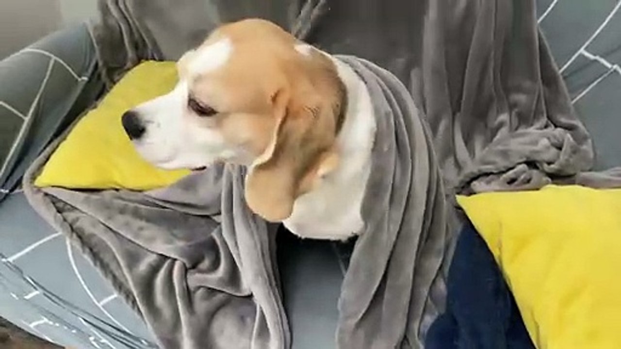 Who Could Be Under There?
