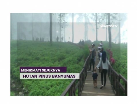 Menikmati Kesejukan Hutan Pinus di Banyumas, Bikin Hati Adem