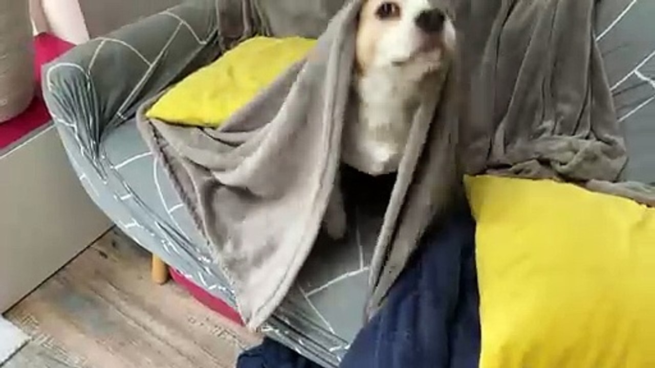 Who Could Be Under There?