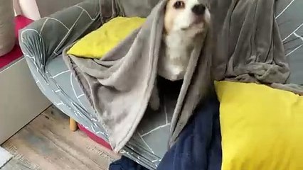 Who Could Be Under There?