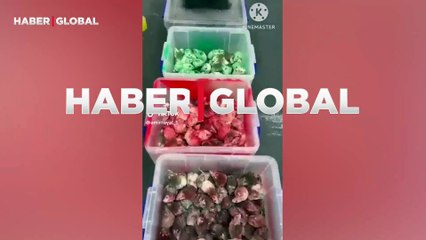 Fareleri Filistin bayrağı rengine boyadılar, McDonald's şubesinden içeriye saldılar!