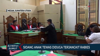 Terdakwa Sebut Anjing Miliknya Bukan Penyebab Kematian Bocah yang Diduga Akibat Rabies