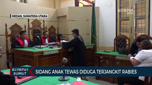 Terdakwa Sebut Anjing Miliknya Bukan Penyebab Kematian Bocah yang Diduga Akibat Rabies