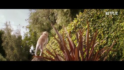 Şimdi İşler Karıştı Altyazılı Fragman