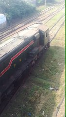 Beautiful train green colour